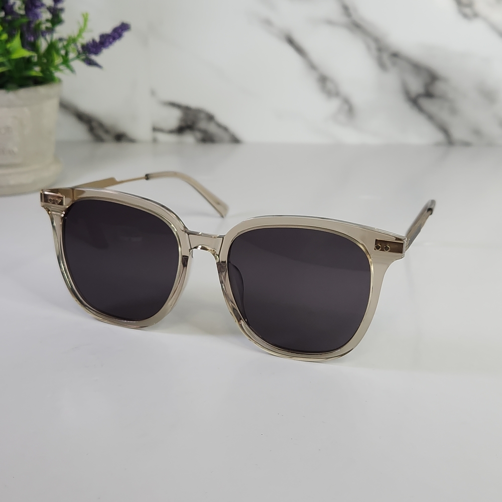 Stephane Christian Transparent Gold and Black Sunglasses